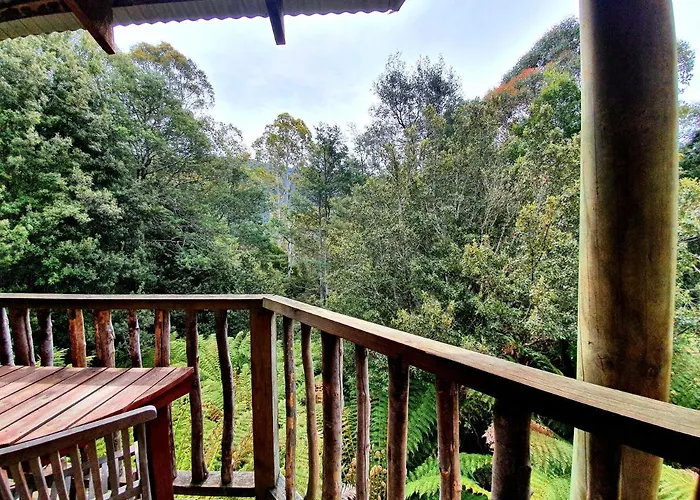 Lemonthyme Wilderness Retreat